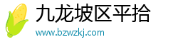 九龙坡区平拾